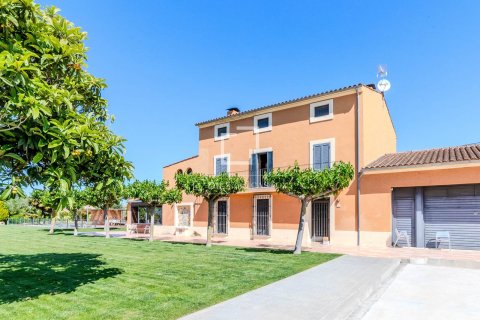 Finca in vendita a Sitges, Barcelona, Spagna 6 camere da letto, 550 mq. N° 192533 - foto 6