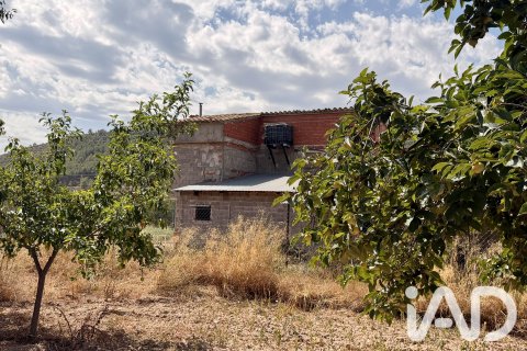 Продажа дома в Жерика, Кастельон, Испания 3 спальни, 346м2 №195075 - фото 30