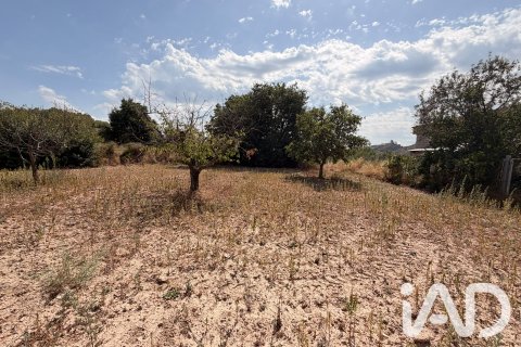 Продажа дома в Жерика, Кастельон, Испания 3 спальни, 346м2 №195075 - фото 29