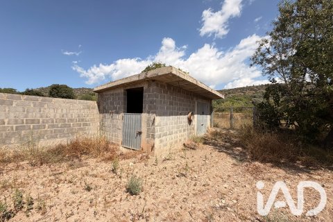 Продажа дома в Жерика, Кастельон, Испания 3 спальни, 346м2 №195075 - фото 26