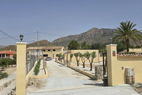 Дом в Абанилла, Мурсия, Испания 5 спален, 360м2 №195071