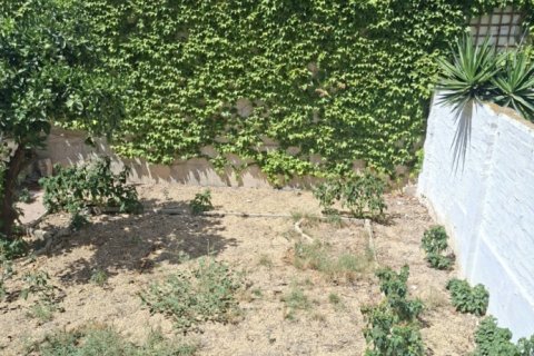 Продажа квартиры в Сант-Жоан-д'Алакант, Аликанте, Испания 3 спальни, 230м2 №195070 - фото 2
