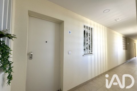 Продажа квартиры в Олива, Валенсия, Испания 2 спальни, 93м2 №195073 - фото 25