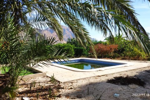 Huvila myytävänä Redovan, Alicante, Espanja, 2 makuuhuonetta, 319 m2 No. 116359 - kuva 3