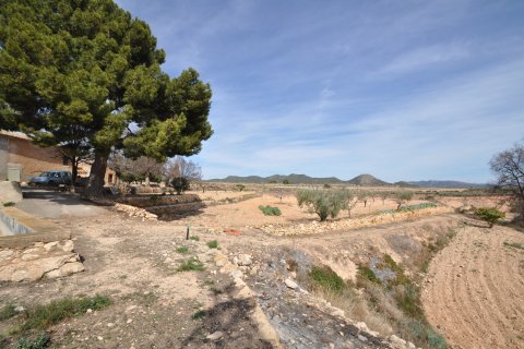 Finca for sale Monovar, Alicante, Spain 6 bedrooms, 450 sq.m. No. 116366 - photo 18