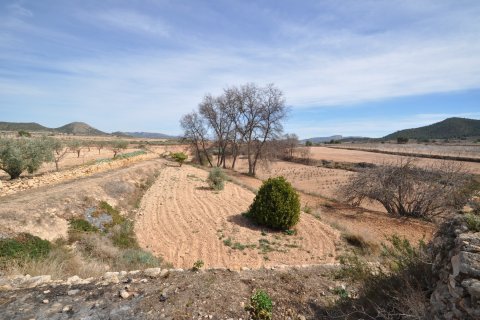 Finca for sale Monovar, Alicante, Spain 6 bedrooms, 450 sq.m. No. 116366 - photo 20