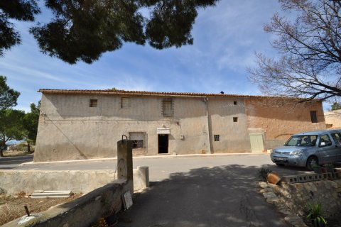 Finca for sale Monovar, Alicante, Spain 6 bedrooms, 450 sq.m. No. 116366 - photo 16
