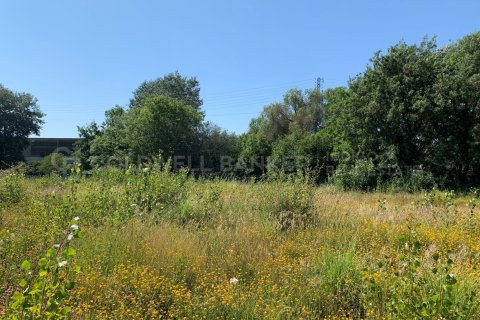 Zemes gabals pārdošanā Vigo, Pontevedra, Spānijā 15000 m2 Nr. 160115 - attēls 18