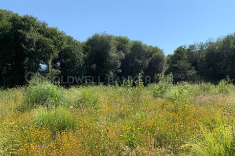 Zemes gabals pārdošanā Vigo, Pontevedra, Spānijā 15000 m2 Nr. 160115 - attēls 17