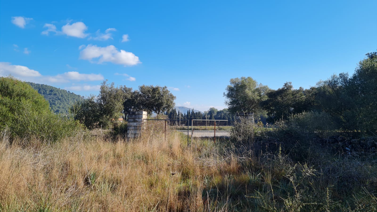 Terreno a Sa Pobla, Mallorca, Spagna 105000 mq. N° 74064