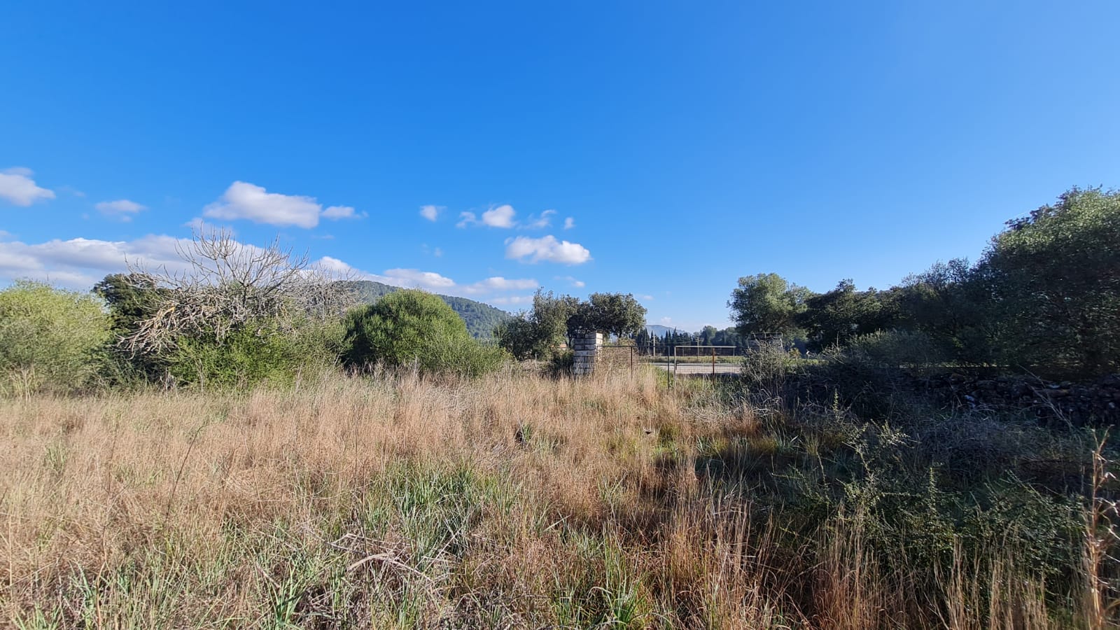 Terreno a Sa Pobla, Mallorca, Spagna 105000 mq. N° 74064