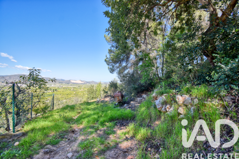 Parcela en venta en Pego, Alicante, España 3910 m2 No. 184885 - foto 18