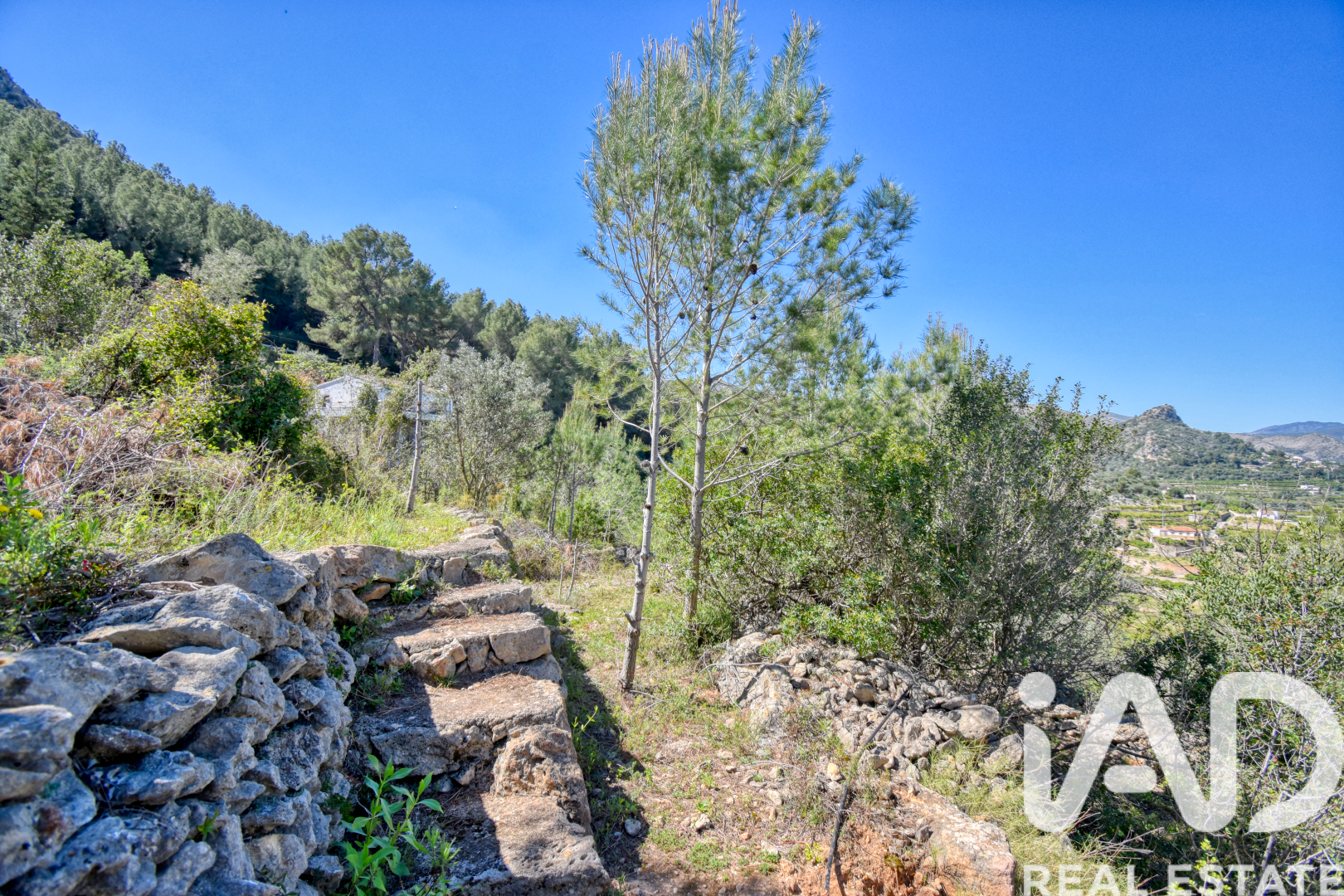 Parcela en Pego, Alicante, España 3910 m2 No. 184885