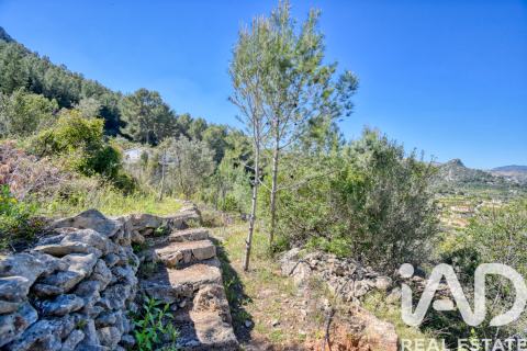 Parcela en venta en Pego, Alicante, España 3910 m2 No. 184885 - foto 4