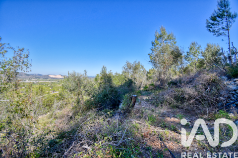 Parcela en venta en Pego, Alicante, España 3910 m2 No. 184885 - foto 16