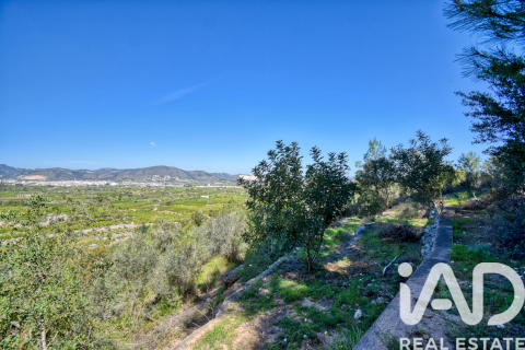 Parcela en venta en Pego, Alicante, España 3910 m2 No. 184885 - foto 27