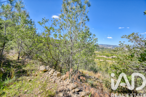 Parcela en venta en Pego, Alicante, España 3910 m2 No. 184885 - foto 11