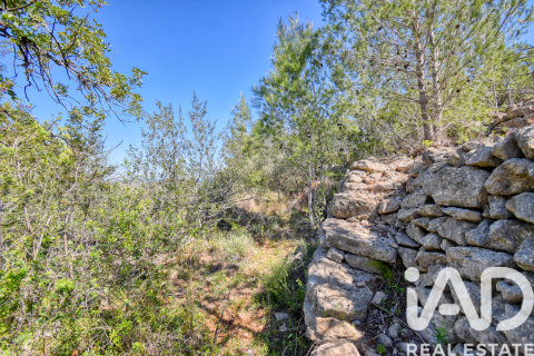 Parcela en venta en Pego, Alicante, España 3910 m2 No. 184885 - foto 13