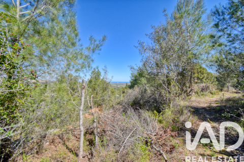 Parcela en venta en Pego, Alicante, España 3910 m2 No. 184885 - foto 25