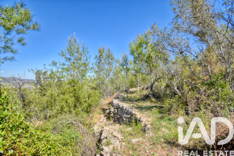 Parcela en venta en Pego, Alicante, España 3910 m2 No. 184885 - foto 7