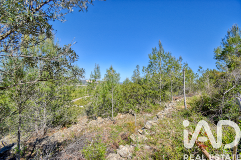 Parcela en venta en Pego, Alicante, España 3910 m2 No. 184885 - foto 24