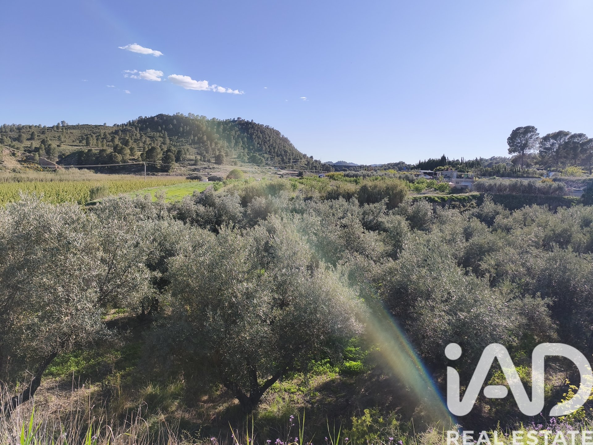 Parcela en Cehegín, Murcia, España 5124 m2 No. 185001