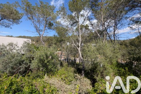 Terreno in vendita a Sant Pere de Ribes, Barcelona, Spagna 489 mq. N° 185002 - foto 2