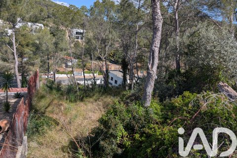Terreno in vendita a Sant Pere de Ribes, Barcelona, Spagna 489 mq. N° 185002 - foto 3