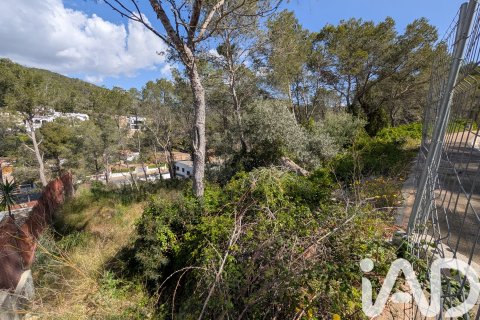 Terreno in vendita a Sant Pere de Ribes, Barcelona, Spagna 489 mq. N° 185002 - foto 18