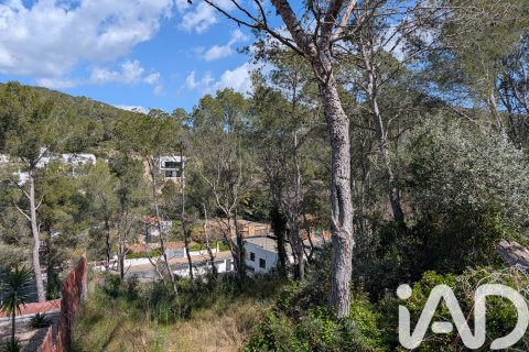Terreno in vendita a Sant Pere de Ribes, Barcelona, Spagna 489 mq. N° 185002 - foto 6