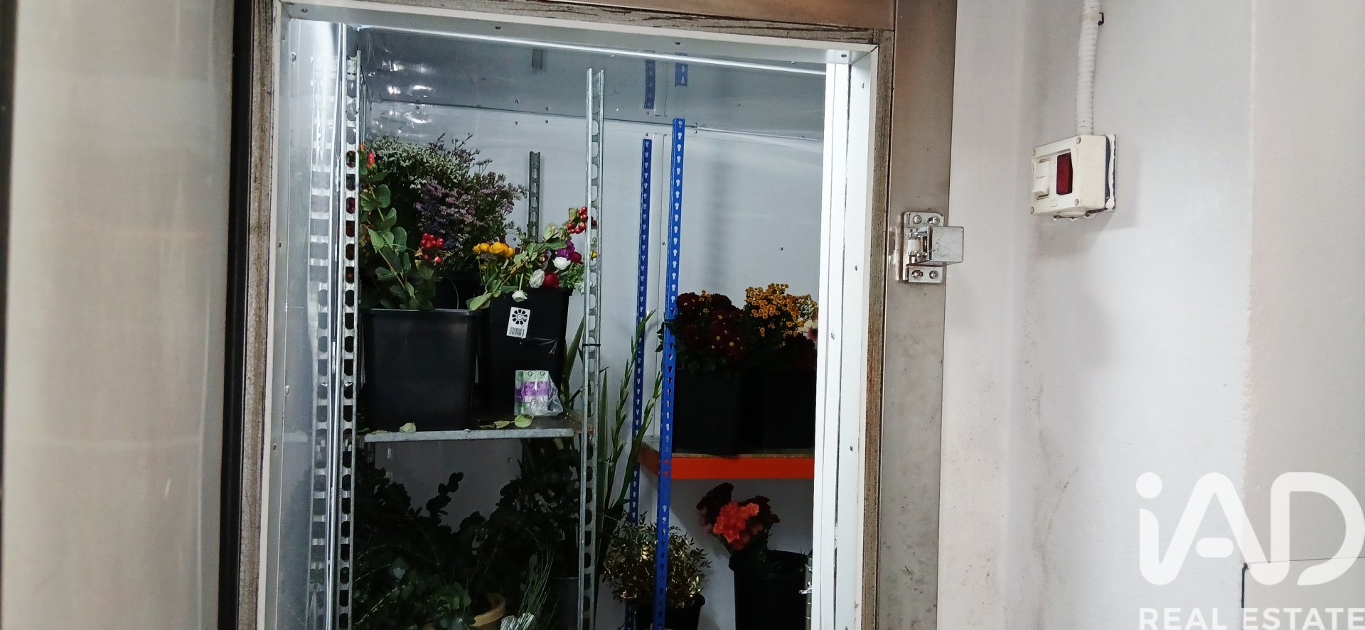 Komerciāls īpašums Velez-Malaga, Malaga, Spānijā 95 m2 Nr. 173055
