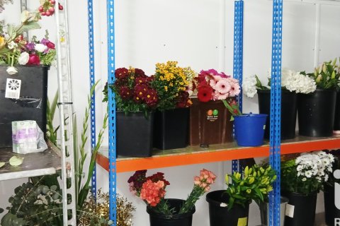 Propiedad comercial en venta en Vélez-Málaga, Málaga, España 95 m2 No. 173055 - foto 19