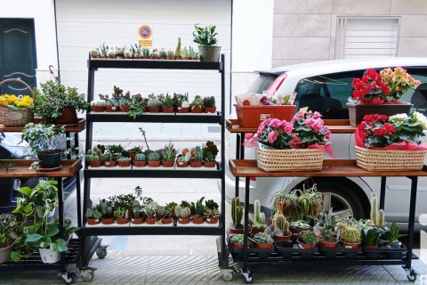 Propiedad comercial en venta en Vélez-Málaga, Málaga, España 95 m2 No. 173055 - foto 4