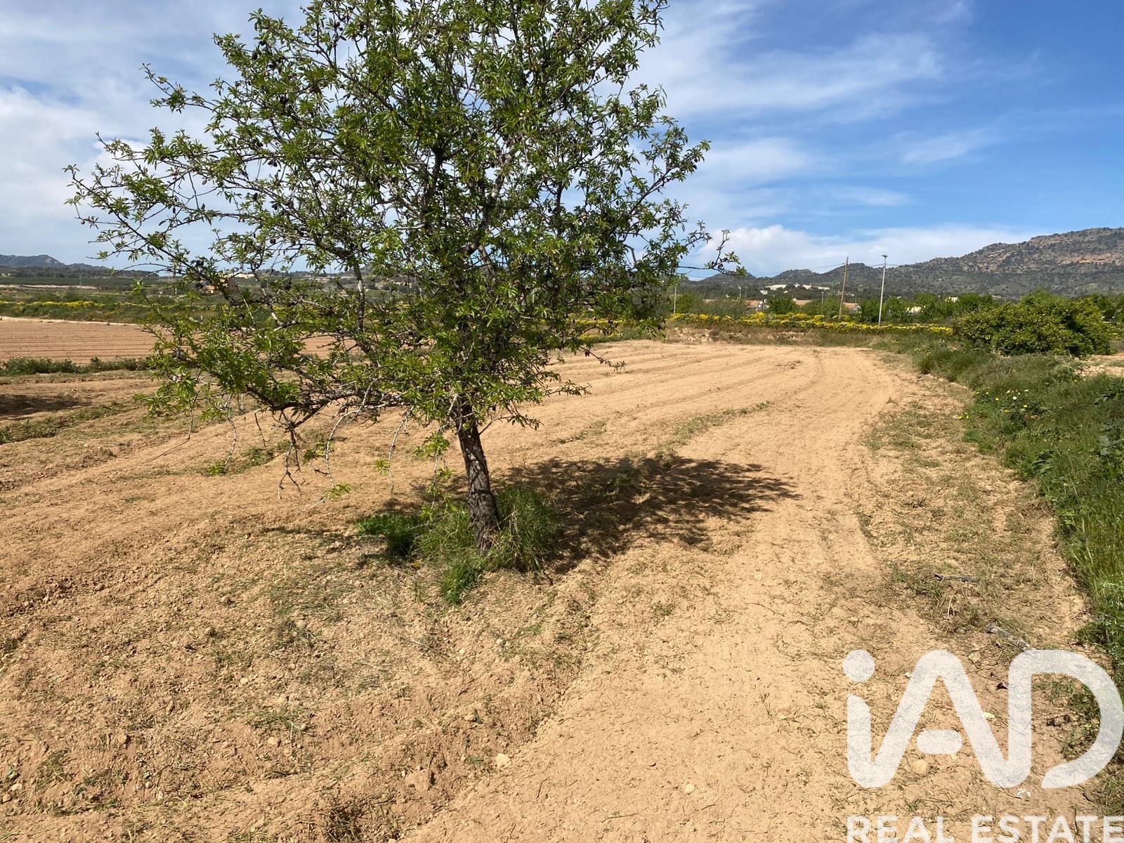 Māja Gea Y Truyols, Murcia, Spānijā 4 istabas, 96 m2 Nr. 173061