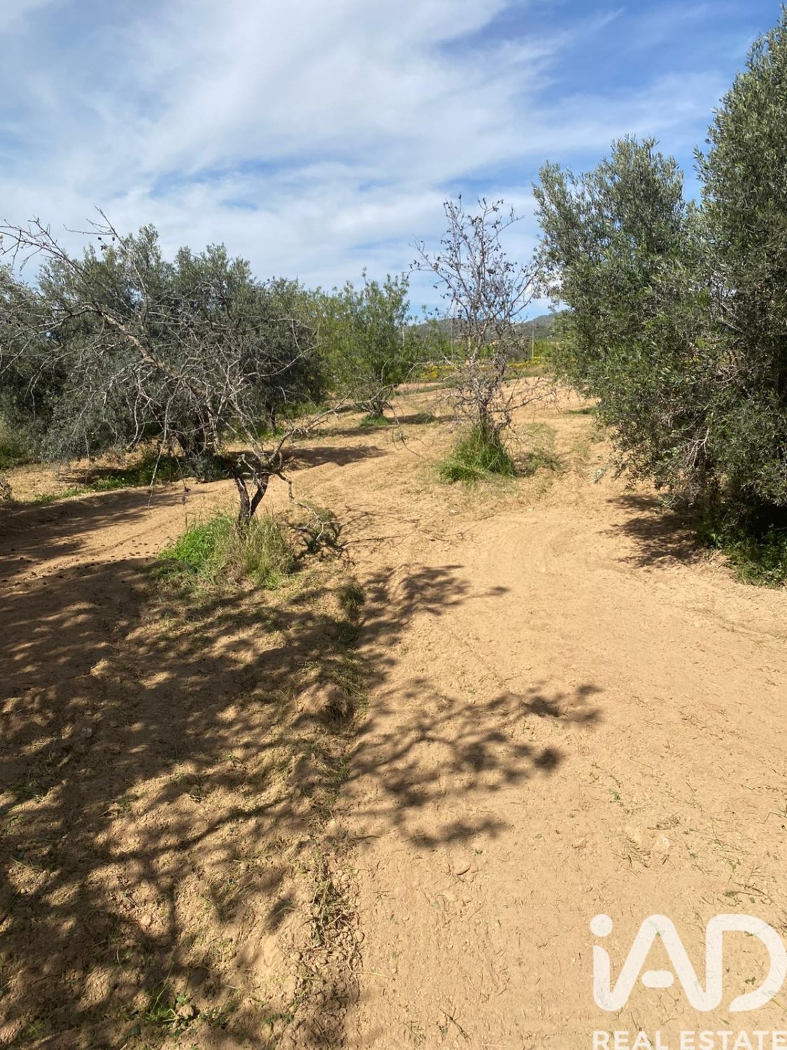 Māja Gea Y Truyols, Murcia, Spānijā 4 istabas, 96 m2 Nr. 173061