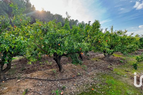 Продажа дома в Пего, Аликанте, Испания 2 спальни, 45м2 №153191 - фото 21