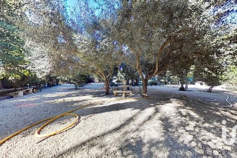 Dom w Crevillent, Alicante, Hiszpania 4 sypialnie, 301 mkw. nr 153185 – zdjęcie 3