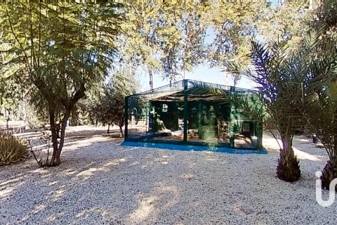 Dom w Crevillent, Alicante, Hiszpania 4 sypialnie, 301 mkw. nr 153185 – zdjęcie 30