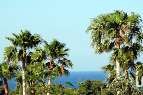 Terreno in vendita a Javea, Alicante, Spagna 859 mq. N° 153186 - foto 19