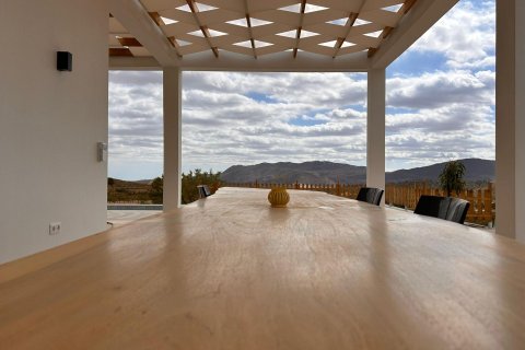 Villa en venta en Pinoso, Alicante, España 4 dormitorios, 283 m2 No. 193348 - foto 10