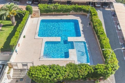 Apartment à vendre à Benidorm, Alicante, Espagne, 2 chambres, 68 m2 No. 180727 - photo 8