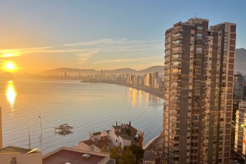 Apartamento en venta en Benidorm, Alicante, España 2 dormitorios, 74 m2 No. 180728 - foto 20