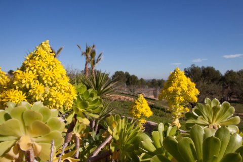 Finca till salu Benissa, Alicante, Spanien 8 sovrum, 607 kvm. Nr. 138244 - foto 3