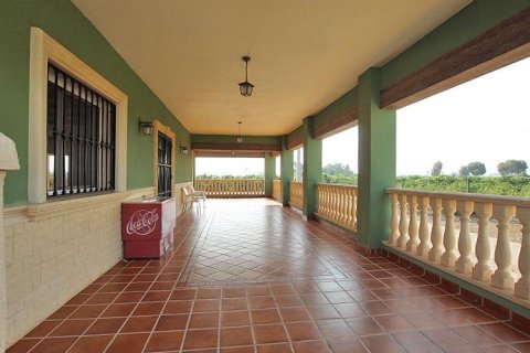 Finka w Daya Nueva, Alicante, Hiszpania 2 sypialnie, 247 mkw. nr 194599 – zdjęcie 12