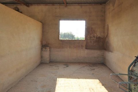 Finka w Daya Nueva, Alicante, Hiszpania 2 sypialnie, 247 mkw. nr 194599 – zdjęcie 20