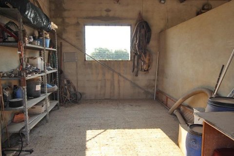 Finka w Daya Nueva, Alicante, Hiszpania 2 sypialnie, 247 mkw. nr 194599 – zdjęcie 19
