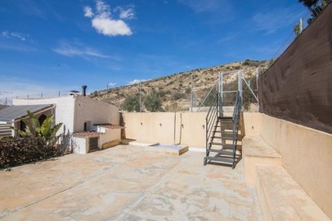 Villa for sale Elche, Alicante, Spain 3 bedrooms, 130 sq.m. No. 115030 - photo 29