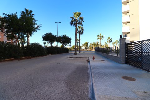 Apartament w Guardamar del Segura, Alicante, Hiszpania 2 sypialnie, 88 mkw. nr 146620 – zdjęcie 28