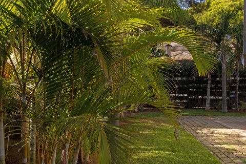 Villa in vendita a Cadiz, Spagna 6 camere da letto, 661 mq. N° 168632 - foto 22