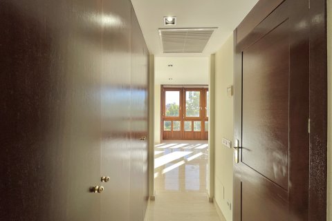 Penthäuser zur Miete in Palma de Majorca, Mallorca, Spanien 5 Schlafzimmer, 308 m2 Nr. 179314 - Foto 16